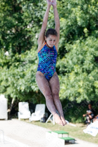 2017 - 8. Sofia Diving Cup 2017 - 8. Sofia Diving Cup 03012_13484.jpg