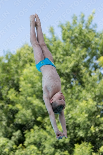 2017 - 8. Sofia Diving Cup 2017 - 8. Sofia Diving Cup 03012_13494.jpg