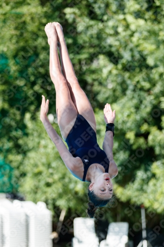 2017 - 8. Sofia Diving Cup 2017 - 8. Sofia Diving Cup 03012_13522.jpg