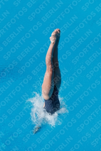 2017 - 8. Sofia Diving Cup 2017 - 8. Sofia Diving Cup 03012_13529.jpg