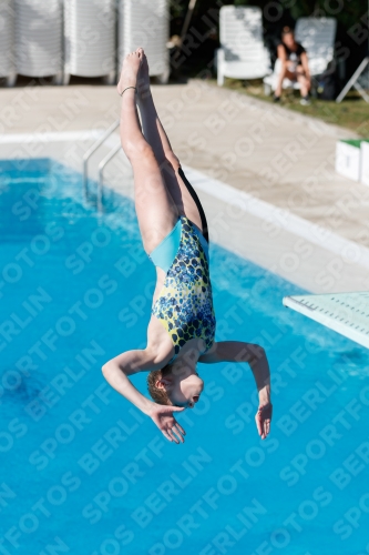 2017 - 8. Sofia Diving Cup 2017 - 8. Sofia Diving Cup 03012_13572.jpg