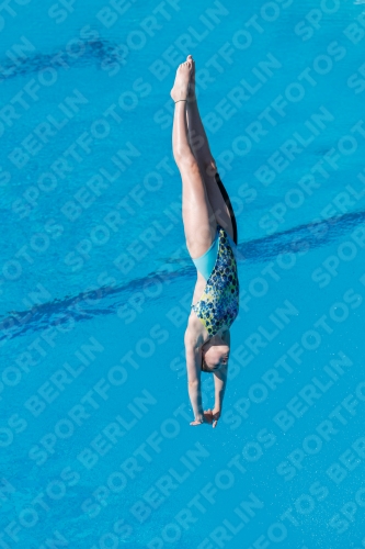 2017 - 8. Sofia Diving Cup 2017 - 8. Sofia Diving Cup 03012_13575.jpg