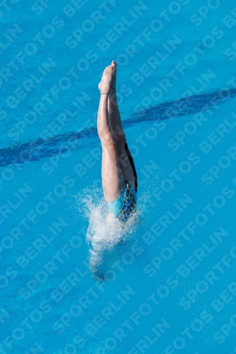 2017 - 8. Sofia Diving Cup 2017 - 8. Sofia Diving Cup 03012_13576.jpg