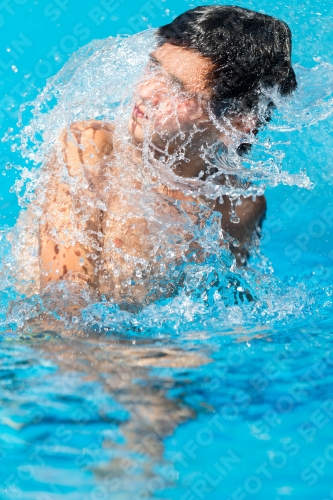 2017 - 8. Sofia Diving Cup 2017 - 8. Sofia Diving Cup 03012_13577.jpg