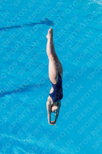 2017 - 8. Sofia Diving Cup 2017 - 8. Sofia Diving Cup 03012_13609.jpg