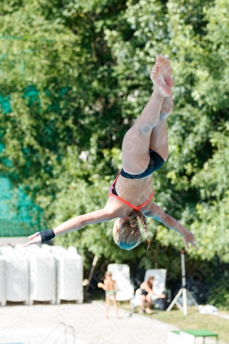 2017 - 8. Sofia Diving Cup 2017 - 8. Sofia Diving Cup 03012_13621.jpg