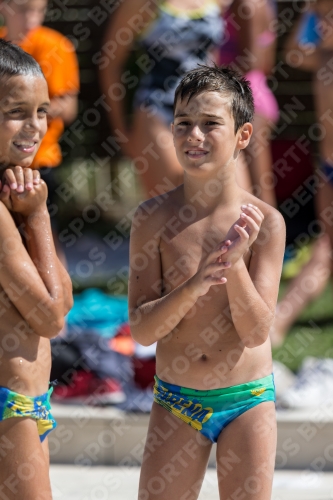 2017 - 8. Sofia Diving Cup 2017 - 8. Sofia Diving Cup 03012_13625.jpg