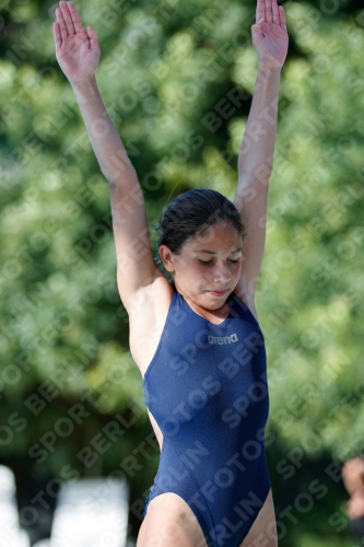 2017 - 8. Sofia Diving Cup 2017 - 8. Sofia Diving Cup 03012_13644.jpg