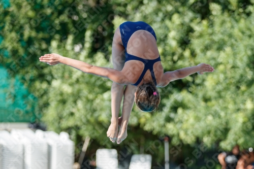 2017 - 8. Sofia Diving Cup 2017 - 8. Sofia Diving Cup 03012_13648.jpg