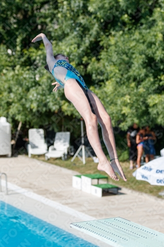 2017 - 8. Sofia Diving Cup 2017 - 8. Sofia Diving Cup 03012_13656.jpg