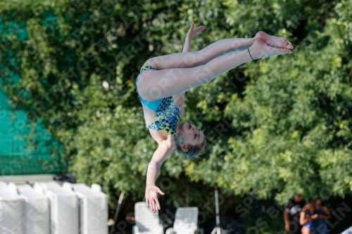 2017 - 8. Sofia Diving Cup 2017 - 8. Sofia Diving Cup 03012_13658.jpg