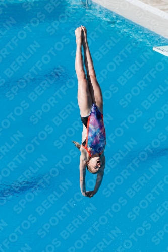 2017 - 8. Sofia Diving Cup 2017 - 8. Sofia Diving Cup 03012_13668.jpg