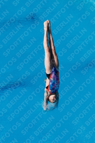 2017 - 8. Sofia Diving Cup 2017 - 8. Sofia Diving Cup 03012_13669.jpg