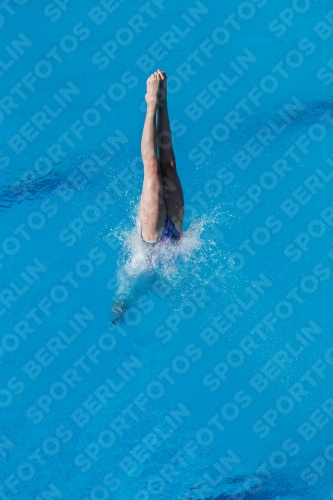 2017 - 8. Sofia Diving Cup 2017 - 8. Sofia Diving Cup 03012_13670.jpg