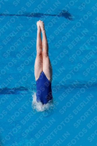 2017 - 8. Sofia Diving Cup 2017 - 8. Sofia Diving Cup 03012_13683.jpg