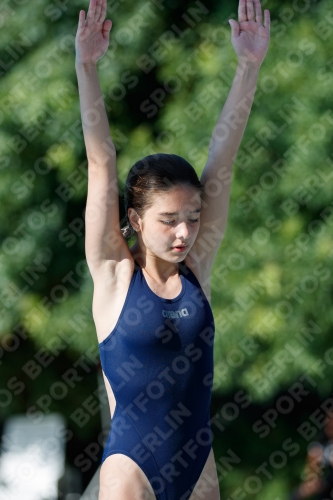 2017 - 8. Sofia Diving Cup 2017 - 8. Sofia Diving Cup 03012_13690.jpg