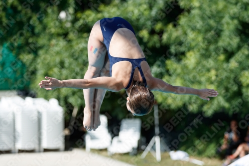 2017 - 8. Sofia Diving Cup 2017 - 8. Sofia Diving Cup 03012_13693.jpg