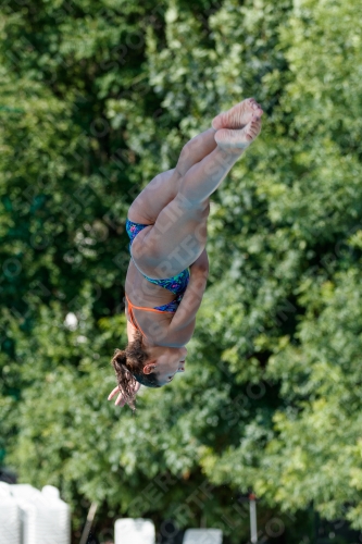 2017 - 8. Sofia Diving Cup 2017 - 8. Sofia Diving Cup 03012_13699.jpg