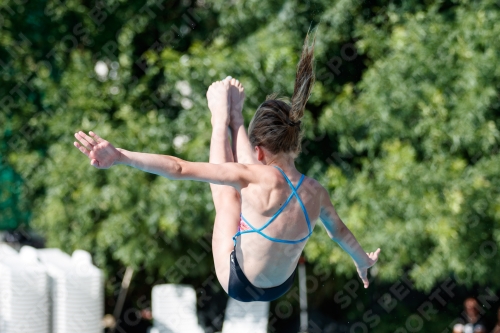 2017 - 8. Sofia Diving Cup 2017 - 8. Sofia Diving Cup 03012_13715.jpg