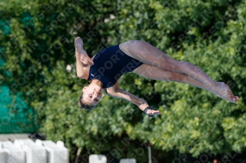 2017 - 8. Sofia Diving Cup 2017 - 8. Sofia Diving Cup 03012_13728.jpg