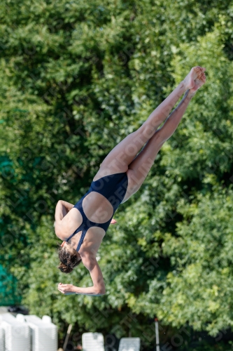 2017 - 8. Sofia Diving Cup 2017 - 8. Sofia Diving Cup 03012_13731.jpg