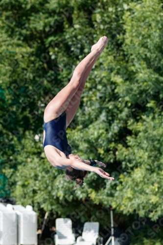 2017 - 8. Sofia Diving Cup 2017 - 8. Sofia Diving Cup 03012_13733.jpg
