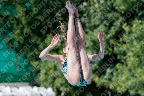 2017 - 8. Sofia Diving Cup 2017 - 8. Sofia Diving Cup 03012_13761.jpg