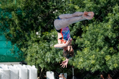 2017 - 8. Sofia Diving Cup 2017 - 8. Sofia Diving Cup 03012_13765.jpg