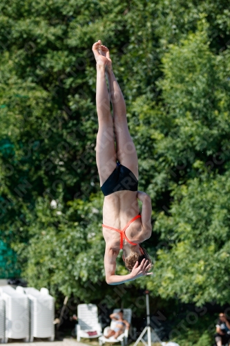 2017 - 8. Sofia Diving Cup 2017 - 8. Sofia Diving Cup 03012_13767.jpg