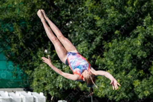 2017 - 8. Sofia Diving Cup 2017 - 8. Sofia Diving Cup 03012_13770.jpg