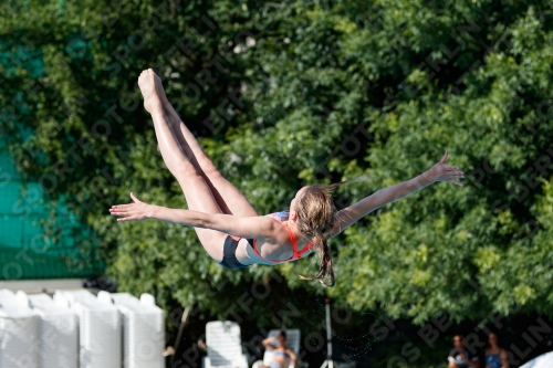 2017 - 8. Sofia Diving Cup 2017 - 8. Sofia Diving Cup 03012_13771.jpg