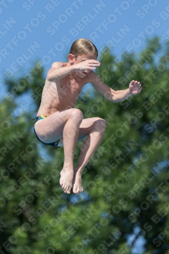 2017 - 8. Sofia Diving Cup 2017 - 8. Sofia Diving Cup 03012_13794.jpg