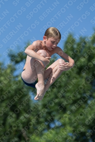 2017 - 8. Sofia Diving Cup 2017 - 8. Sofia Diving Cup 03012_13796.jpg