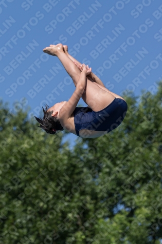 2017 - 8. Sofia Diving Cup 2017 - 8. Sofia Diving Cup 03012_13804.jpg