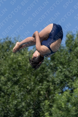 2017 - 8. Sofia Diving Cup 2017 - 8. Sofia Diving Cup 03012_13805.jpg