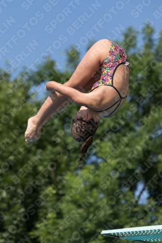 2017 - 8. Sofia Diving Cup 2017 - 8. Sofia Diving Cup 03012_13826.jpg