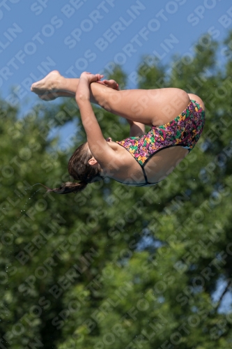 2017 - 8. Sofia Diving Cup 2017 - 8. Sofia Diving Cup 03012_13827.jpg