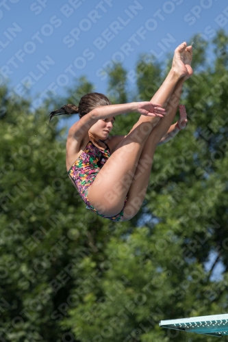 2017 - 8. Sofia Diving Cup 2017 - 8. Sofia Diving Cup 03012_13828.jpg