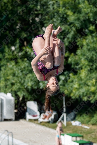 2017 - 8. Sofia Diving Cup 2017 - 8. Sofia Diving Cup 03012_13845.jpg