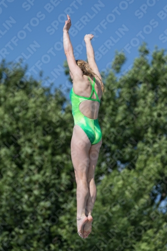 2017 - 8. Sofia Diving Cup 2017 - 8. Sofia Diving Cup 03012_13861.jpg
