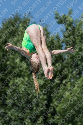 2017 - 8. Sofia Diving Cup 2017 - 8. Sofia Diving Cup 03012_13863.jpg