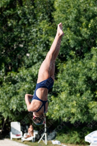 2017 - 8. Sofia Diving Cup 2017 - 8. Sofia Diving Cup 03012_13879.jpg