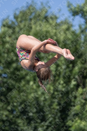 2017 - 8. Sofia Diving Cup 2017 - 8. Sofia Diving Cup 03012_13883.jpg