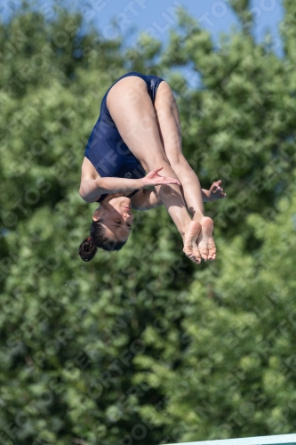 2017 - 8. Sofia Diving Cup 2017 - 8. Sofia Diving Cup 03012_13888.jpg