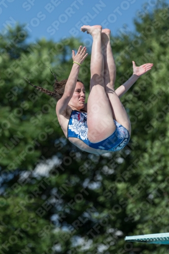 2017 - 8. Sofia Diving Cup 2017 - 8. Sofia Diving Cup 03012_13903.jpg