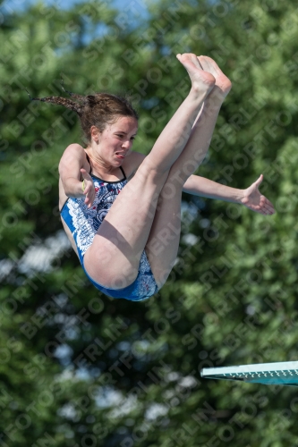 2017 - 8. Sofia Diving Cup 2017 - 8. Sofia Diving Cup 03012_13904.jpg