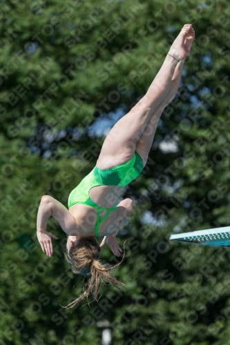 2017 - 8. Sofia Diving Cup 2017 - 8. Sofia Diving Cup 03012_13933.jpg