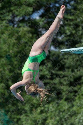 2017 - 8. Sofia Diving Cup 2017 - 8. Sofia Diving Cup 03012_13934.jpg