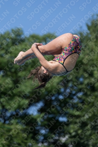 2017 - 8. Sofia Diving Cup 2017 - 8. Sofia Diving Cup 03012_13940.jpg