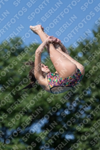 2017 - 8. Sofia Diving Cup 2017 - 8. Sofia Diving Cup 03012_13941.jpg